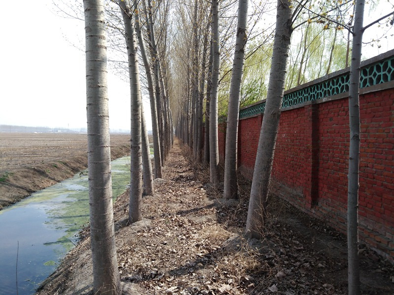 aytzNXU3QVpiQUhsNVZZNTJrTnFDSWpQNXJWeUMrQW1INWFkdzdNbTBpTEhBWUo0SHovRVp3PT0