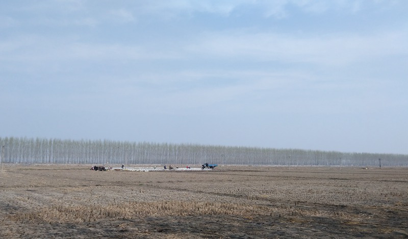 aytzNXU3QVpiQUhsNVZZNTJrTnFDTkF6TTJJek1TQlB1ei8vWCs1cWlJRFkrcjNleGVDcmpnPT0