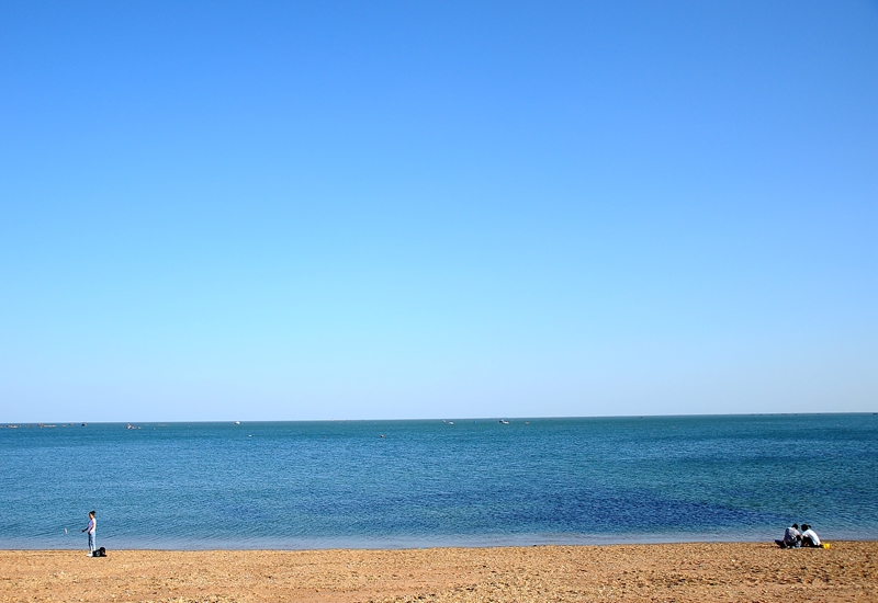 DSC_0314_副本_副本