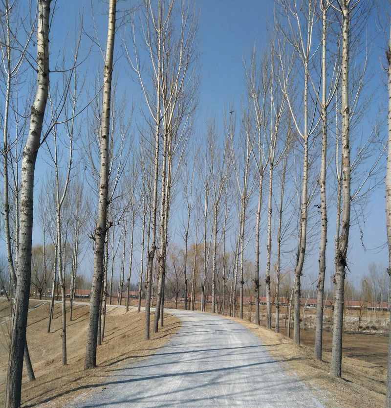 0649a38f98b60c11d66b83b7239b4eb4