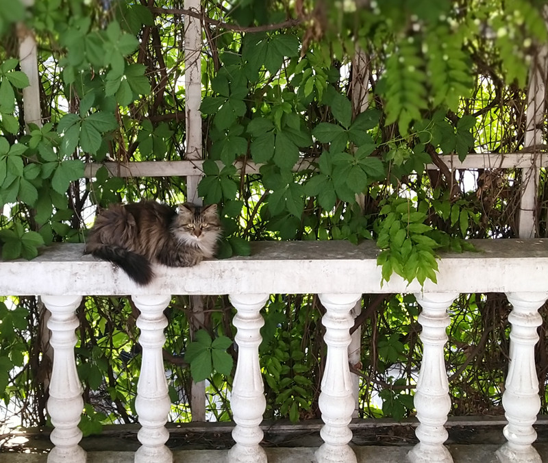 微信图片_20220420132027_副本