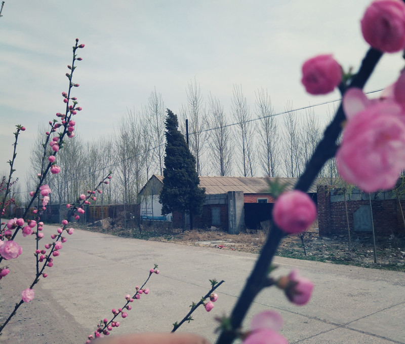 微信图片_20220422142425_副本