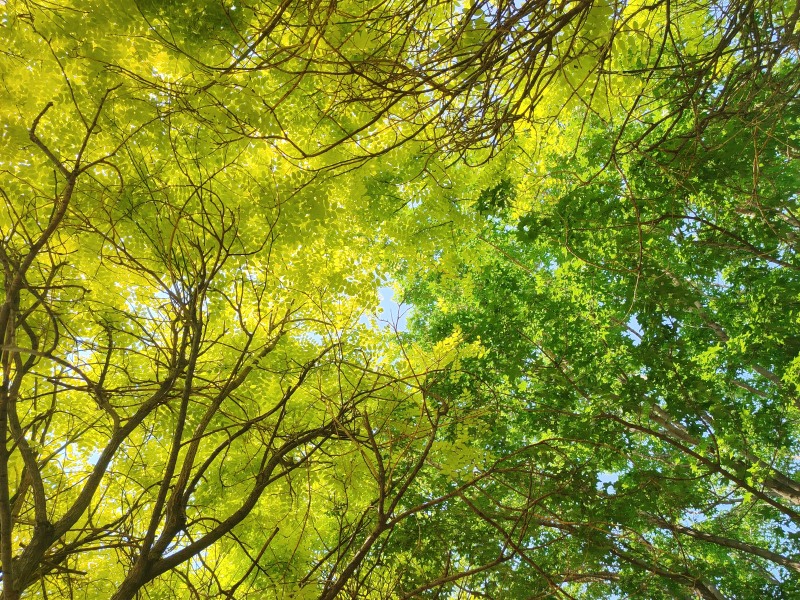 IMG_20240508_082722_副本