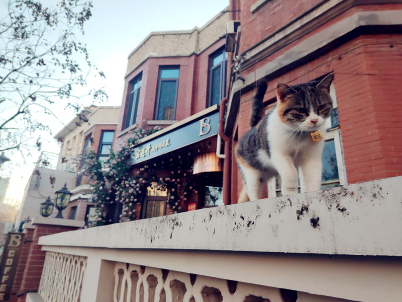 79B376BB0F6863176B30A798491C297B_副本